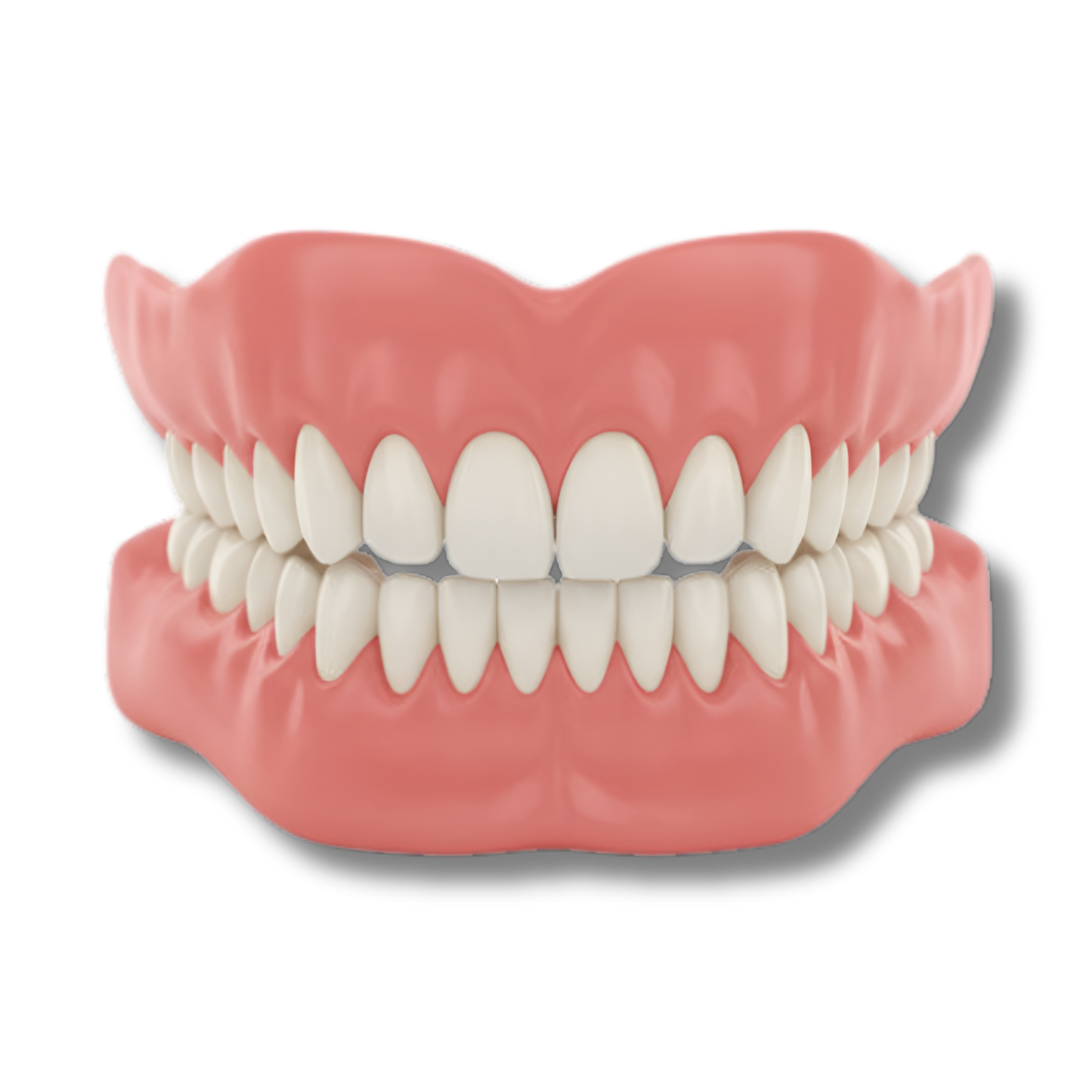 Zooxic™ - Denture Set