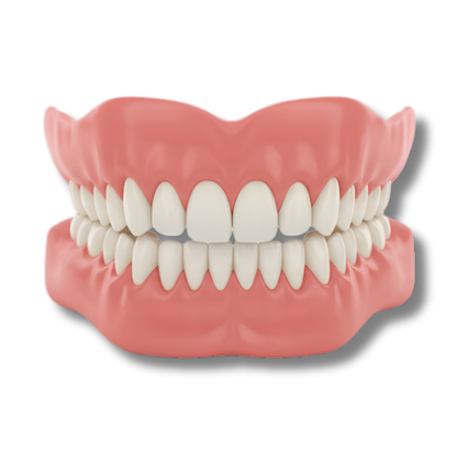 Zooxic™ - Denture Set